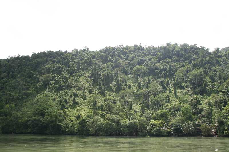 Mexico & Guatemala 2010 - 0981